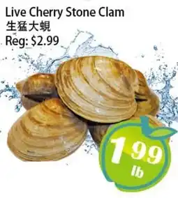 Food Depot Supermarket Live Cherry Stone Clam offer