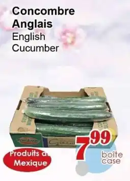 Marche C&T English Cucumber offer