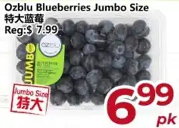 Asian Food Centre Ozblu blueberries offer