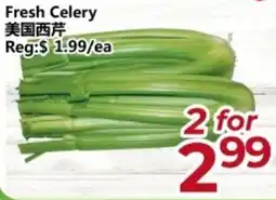 Asian Food Centre Fresh Celery offer