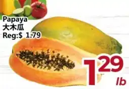 Asian Food Centre Papaya offer