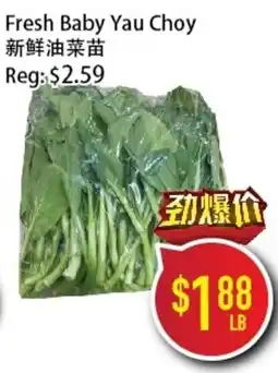Full Fresh Supermarket Fresh Baby Yau Choy offer