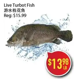 Full Fresh Supermarket Live Turbot Fish offer