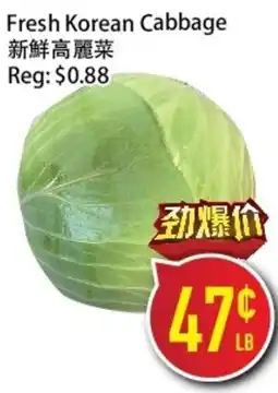 Full Fresh Supermarket Fresh Korean Cabbage offer