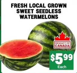 Mercato Fresh Sweet seedless watermelons offer