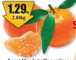Starsky Sweet Mandarin Clementines offer