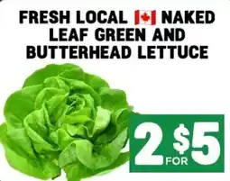 Mercato Fresh Naked leaf green and butterhead lettuce offer