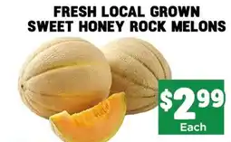 Mercato Fresh Sweet honey rock melons offer