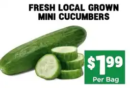 Mercato Fresh Mini Cucumbers offer