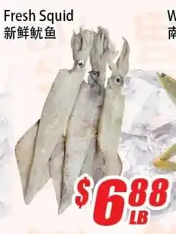 WinCo Food Mart Fresh Squid offer