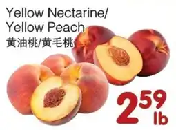 Bravo Fresh Foods Yellow Nectarine/ Yellow Peach offer
