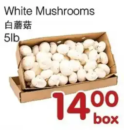 Bravo Fresh Foods White Mushrooms offer
