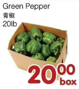 Bravo Fresh Foods Green Pepper offer