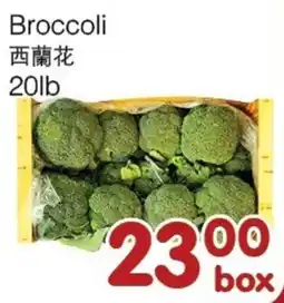 Bravo Fresh Foods Broccoli offer