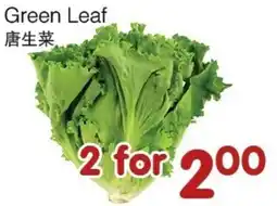 Bravo Fresh Foods Green Leaf offer