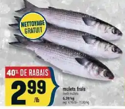 Marché Adonis mulets frais offer