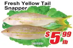 Jian Hing Supermarket Fresh Yellow Tail Snapper offer