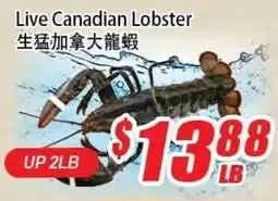 WinCo Food Mart Live Canadian Lobster offer