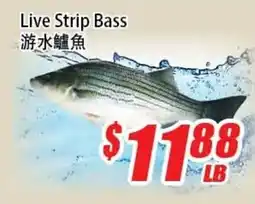 WinCo Food Mart Live Strip Bass offer