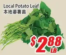 WinCo Food Mart Potato Leaf offer