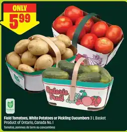 FreshCo Field Tomatoes, White Potatoes or Pickling Cucumbers offer