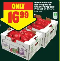 FreshCo Half Bushel Red Bell Peppers or Shepherd Peppers offer