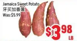 FreshLand Supermarket Jamaica Sweet Potato offer
