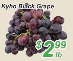 Golden Fresh Market Kyho Black Grape offer