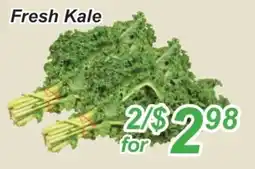 Golden Fresh Market Fresh Kale offer