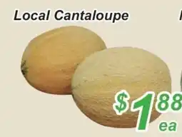 Golden Fresh Market Cantaloupe offer