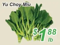 Golden Fresh Market Yu Choy Miu offer