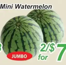 Golden Fresh Market Mini Watermelon offer