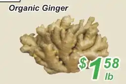 Golden Fresh Market Organic Ginger offer