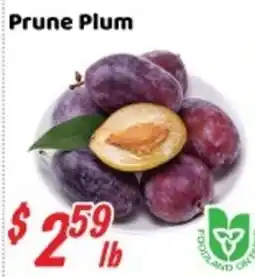 Nations Fresh Foods Prune Plum offer