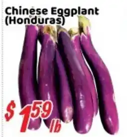 Nations Fresh Foods Chinese Eggplant offer