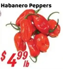 Nations Fresh Foods Habanero Peppers offer