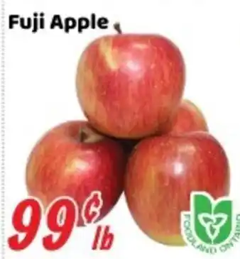 Fuji Apple