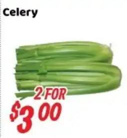 Nations Fresh Foods Celery offer
