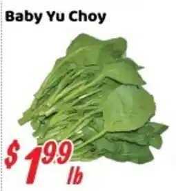 Nations Fresh Foods Baby Yu Choy offer