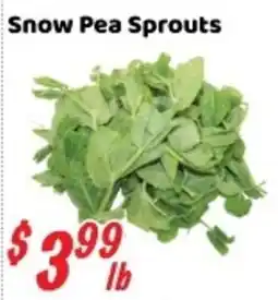 Nations Fresh Foods Snow Pea Sprouts offer