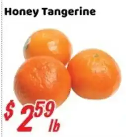 Nations Fresh Foods Honey Tangerine offer