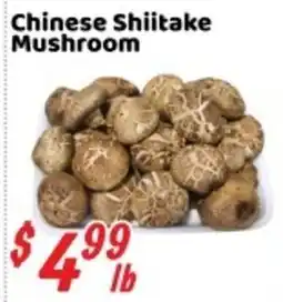 Nations Fresh Foods Chinese Shiitake Mushroom offer