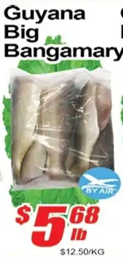 Jian Hing Supermarket Guyana Big Bangamary offer