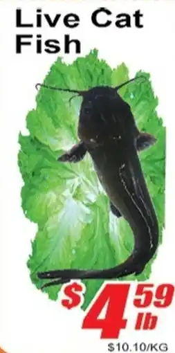 Jian Hing Supermarket Live Cat Fish offer