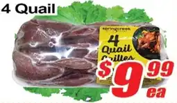 Jian Hing Supermarket Springcreek 4 Quail offer