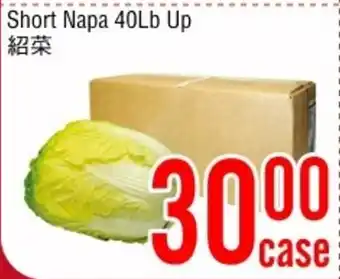Fresh Value Short Napa offer