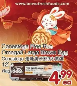 Bravo Fresh Foods Conestoga Free Run Omega3 Large Brown Egg offer