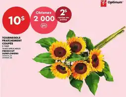 Provigo Optimum fresh cut sunflowers offer