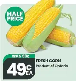 Olive Branch Fresh Corn offer