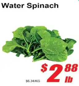 Jian Hing Supermarket Water Spinach offer